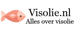 Visolie.nl
